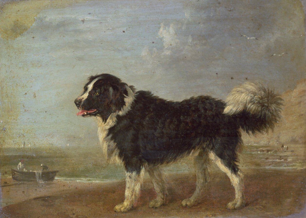Imagem desconhecida de Edmund Bristow