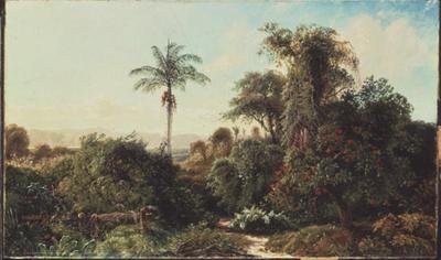 Paisagem Cubana (óleo sobre tela) de Edmund Darch Lewis