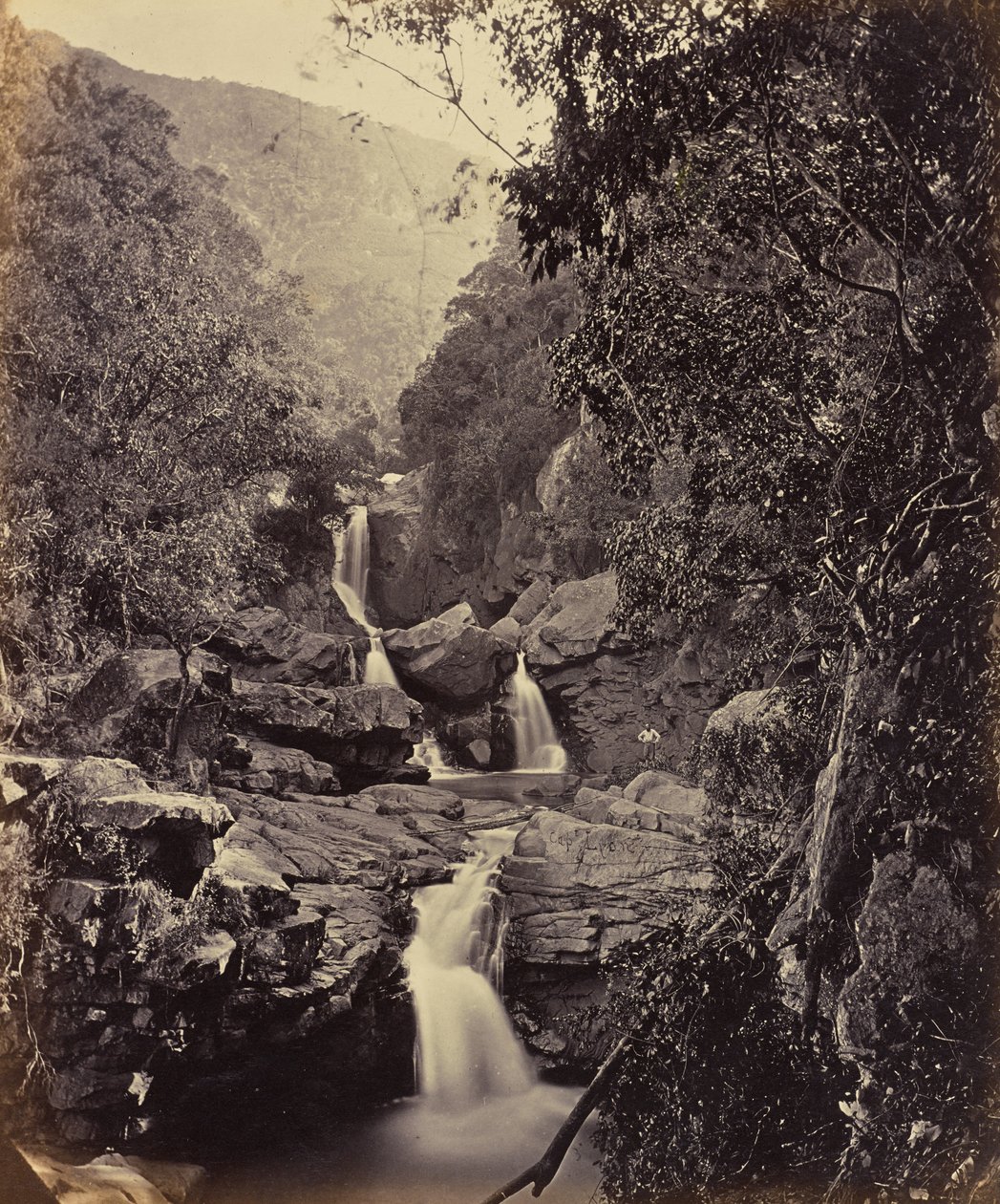Quedas de luz. Coonoor Ghant de Edmund David Lyon