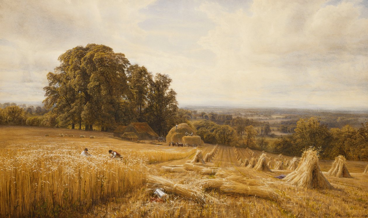 Uma extensa paisagem com colheitadeiras, 1873 de Edmund George Warren
