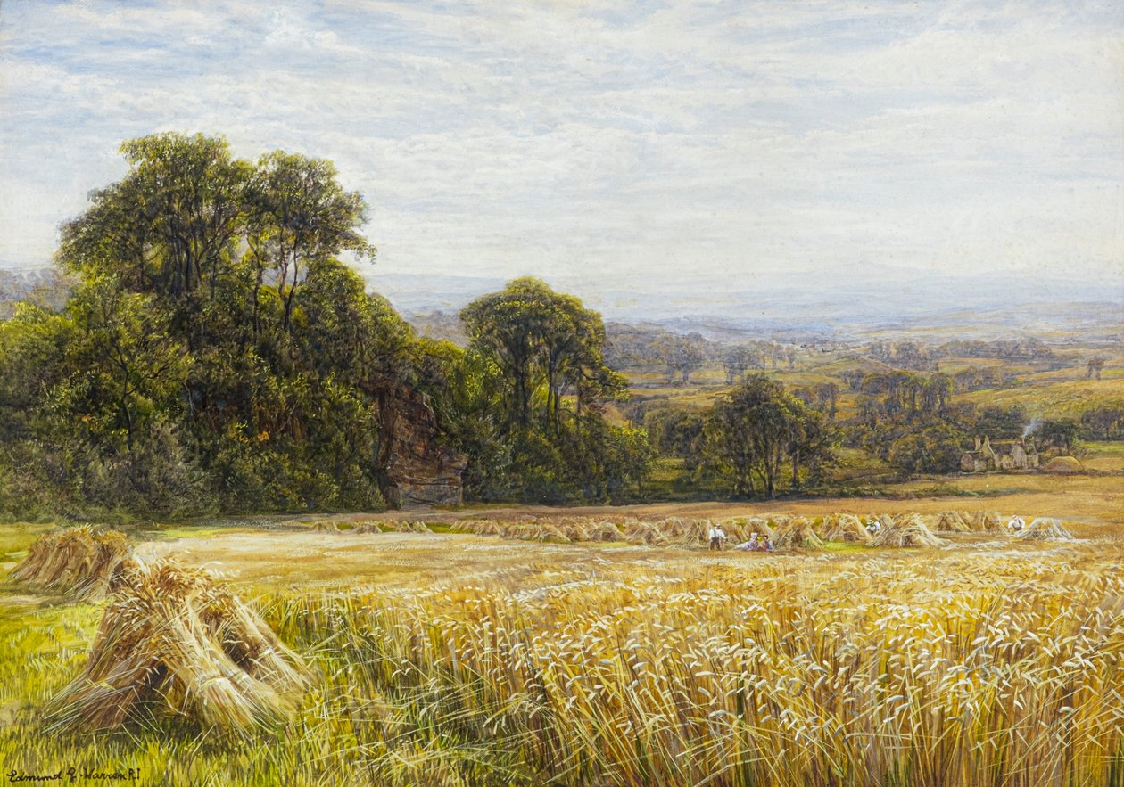 Tempo de colheita (aguarela) de Edmund George Warren