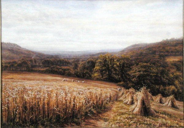 Hora da colheita perto de Ashburton de Edmund George Warren