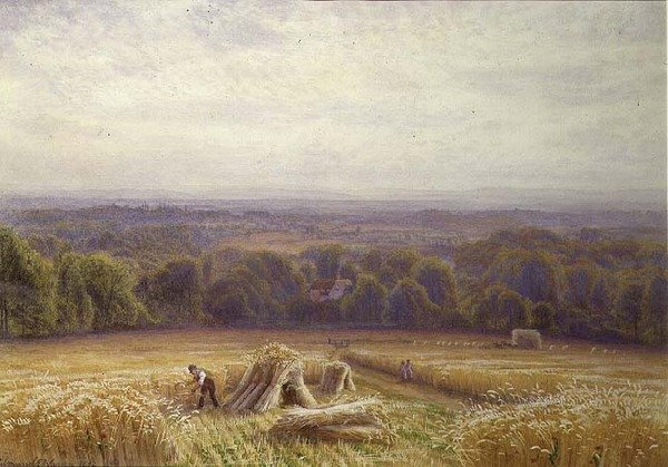 Colheita de Edmund George Warren