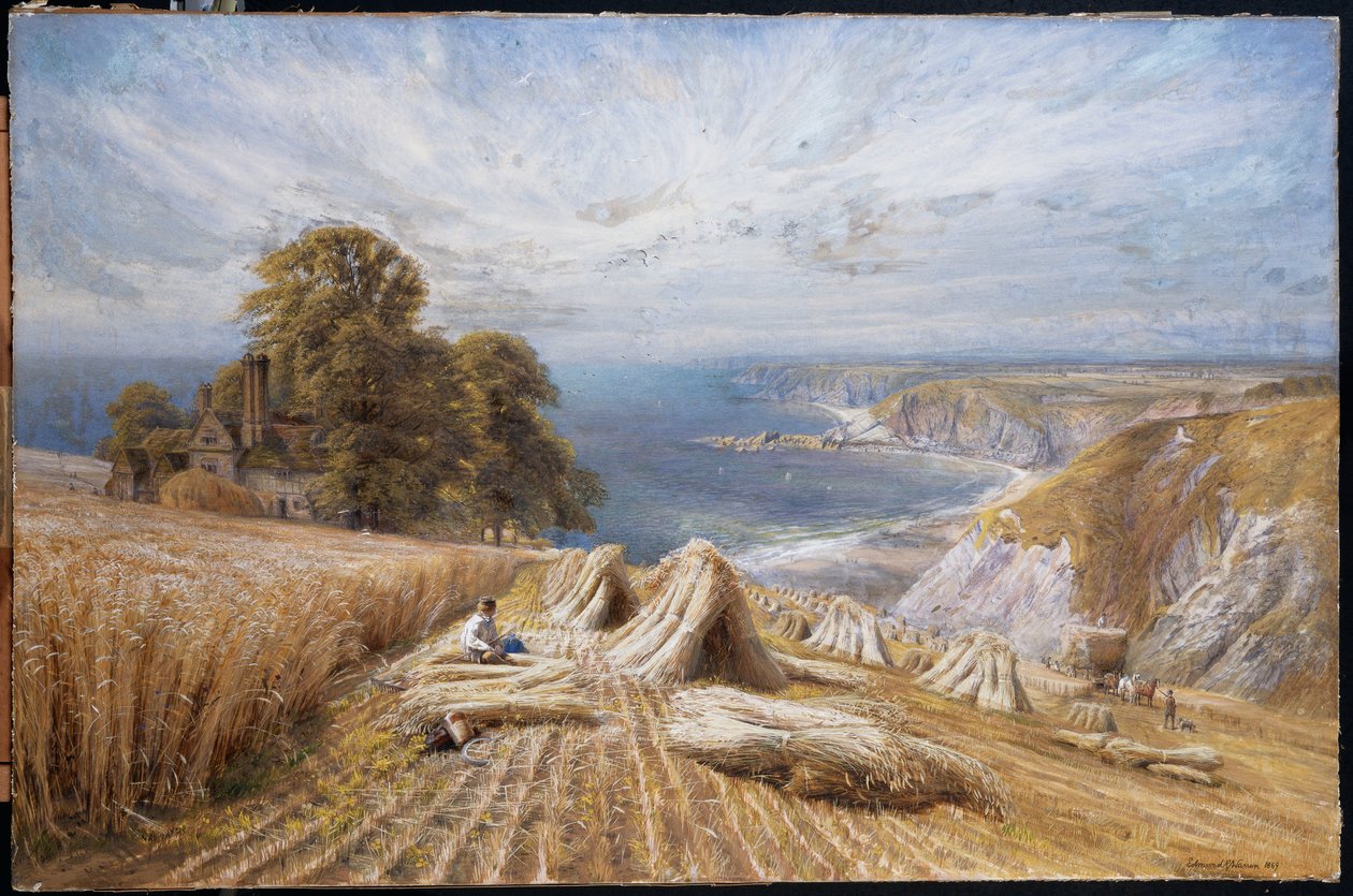 Colheita na costa sul, 1869 de Edmund George Warren