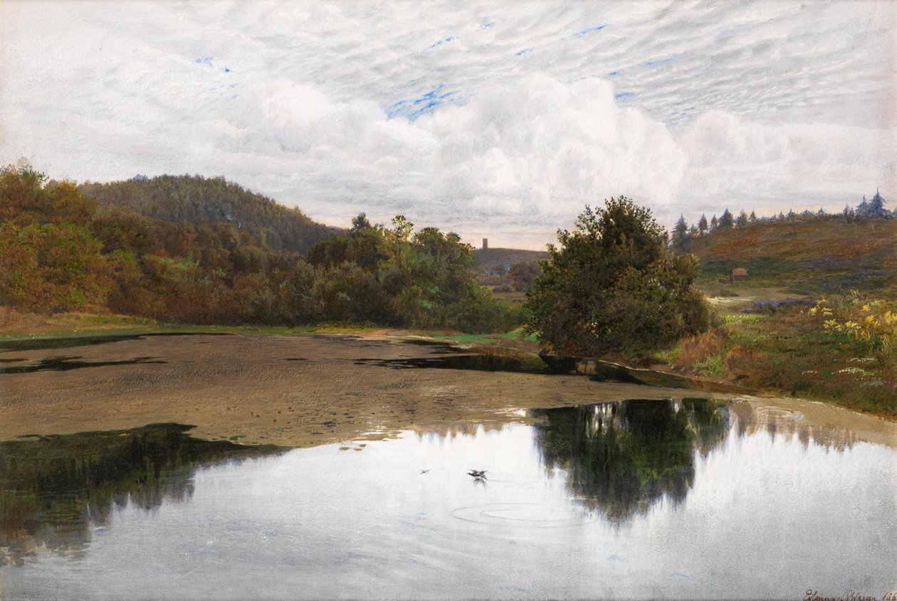 Leith Hill, a partir de Broadmoor, Surrey de Edmund George Warren