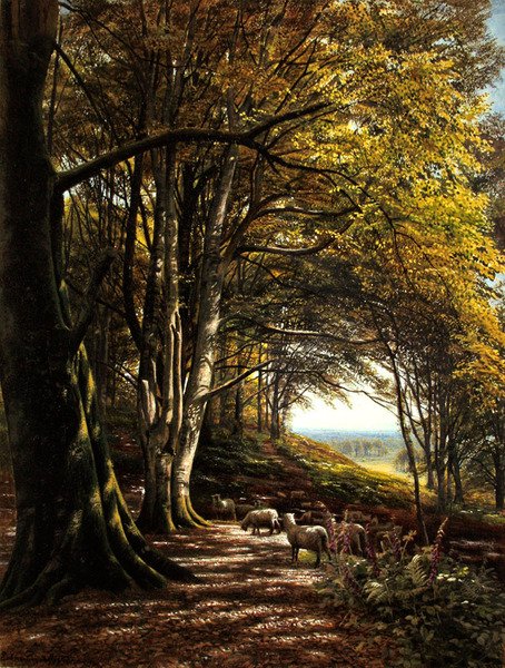 Pastoreio de ovelhas numa clareira da floresta (aguarela e cor de corpo sobre papel) de Edmund George Warren