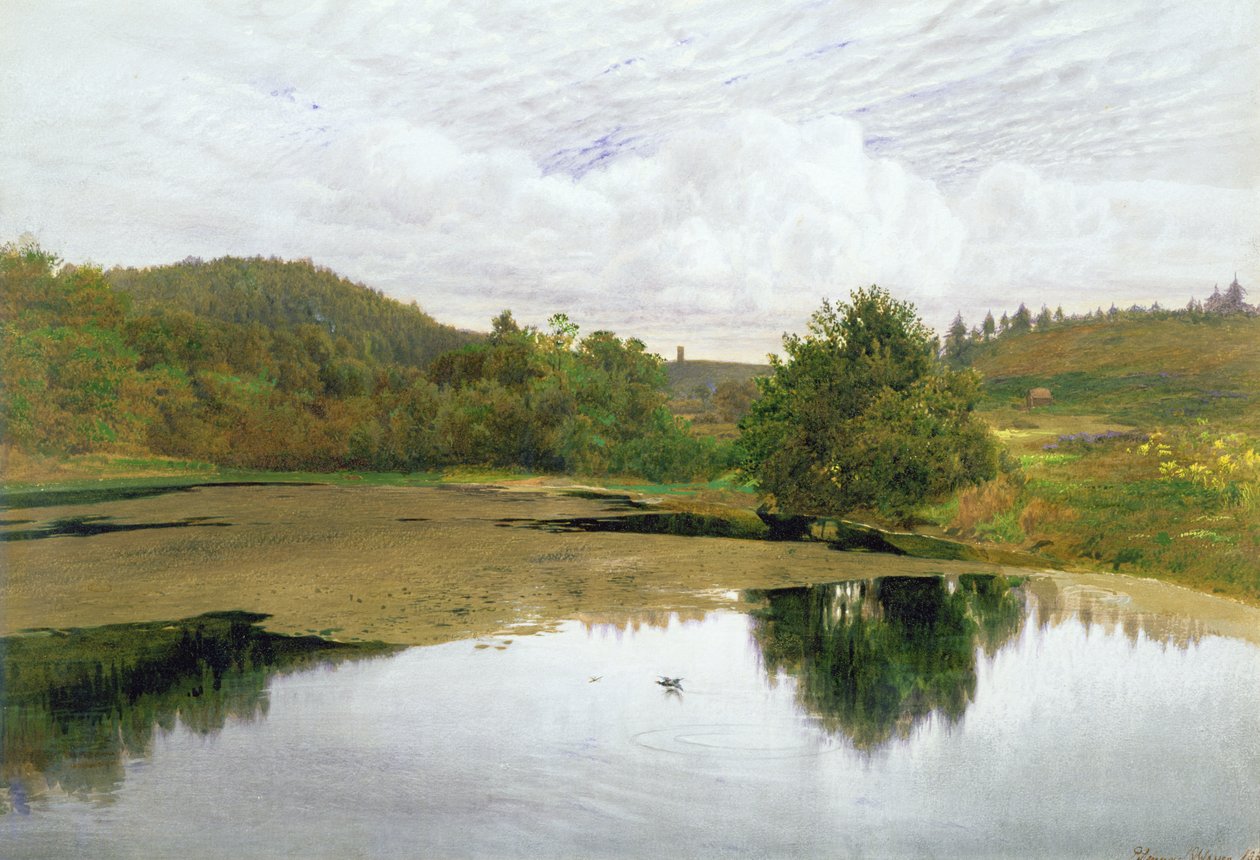 The Pool, 1860 (wc e caneta e tinta no papel) de Edmund George Warren