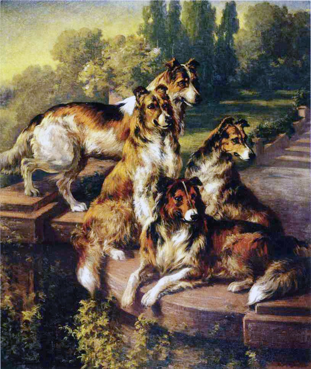 Collies de Edmund Henry Osthaus