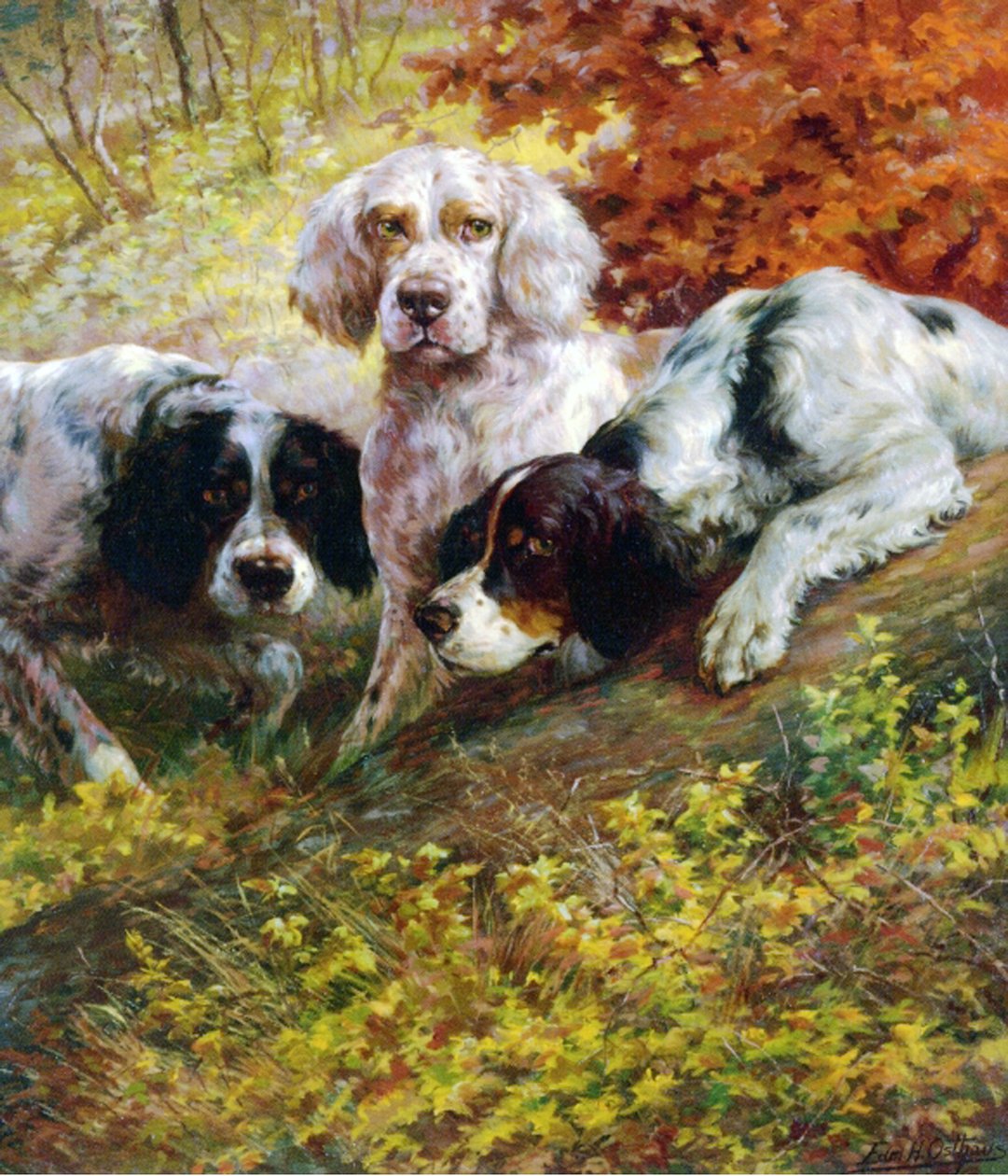 Setters de Edmund Henry Osthaus