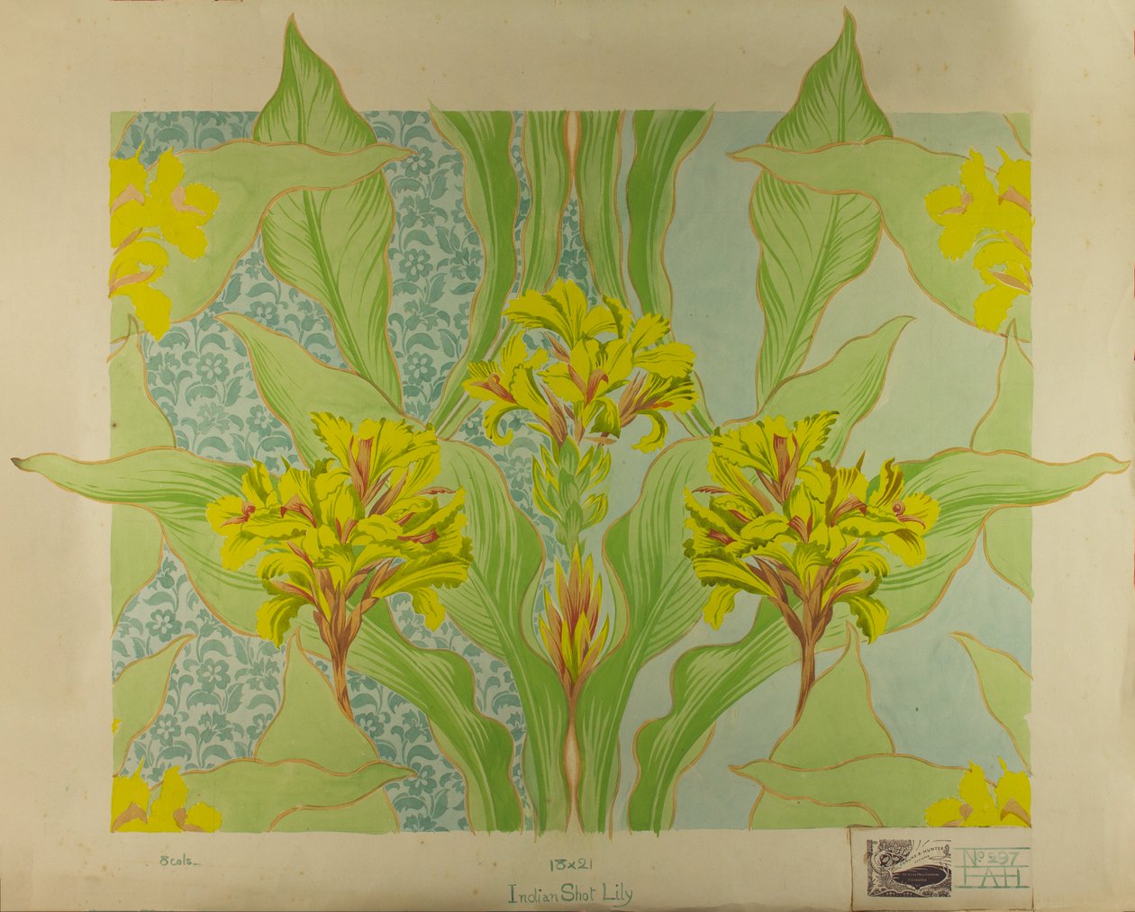 Indian Shot Lily, c.1895 (guache sobre papel) de Edmund Hunter