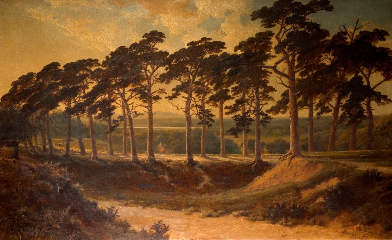 Grade do primeiro, Hampstead Heath, 1875 de Edmund John Niemann