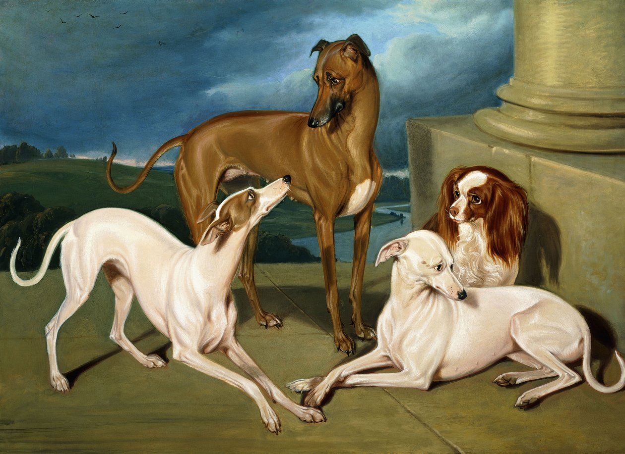 Whippets e um King Spaniel, 1837 de Edmund Jr Havell