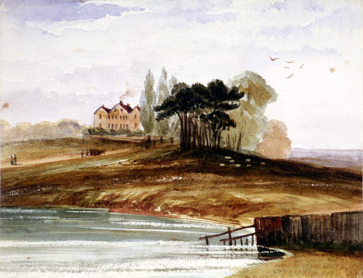 Floresta. de Edmund Marks