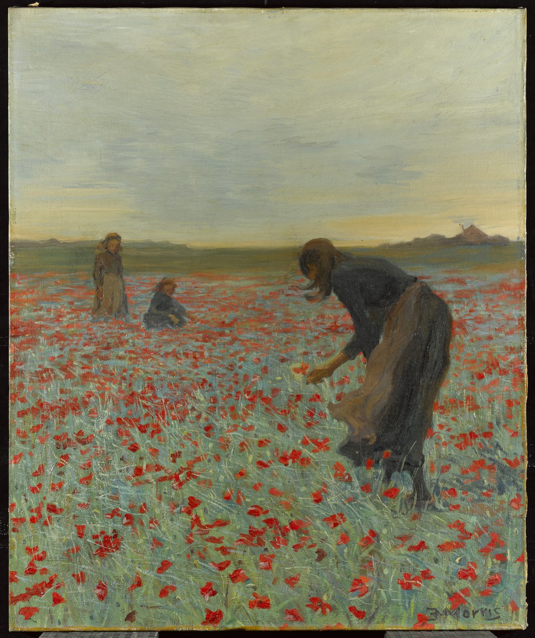 Meninas em um campo de papoulas, c.1896 de Edmund Montague Morris