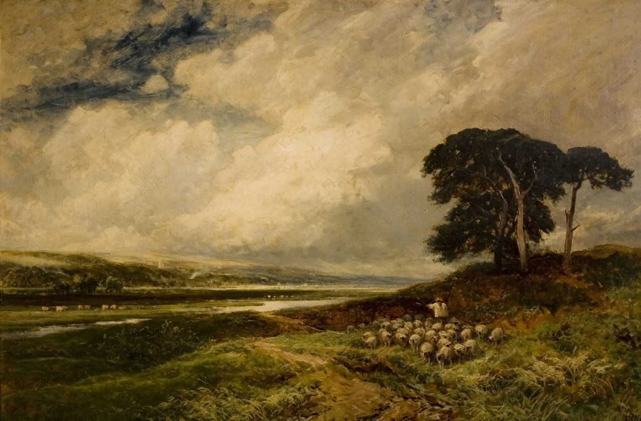 Paisagem com ovelhas, 1899 de Edmund Morison Wimperis