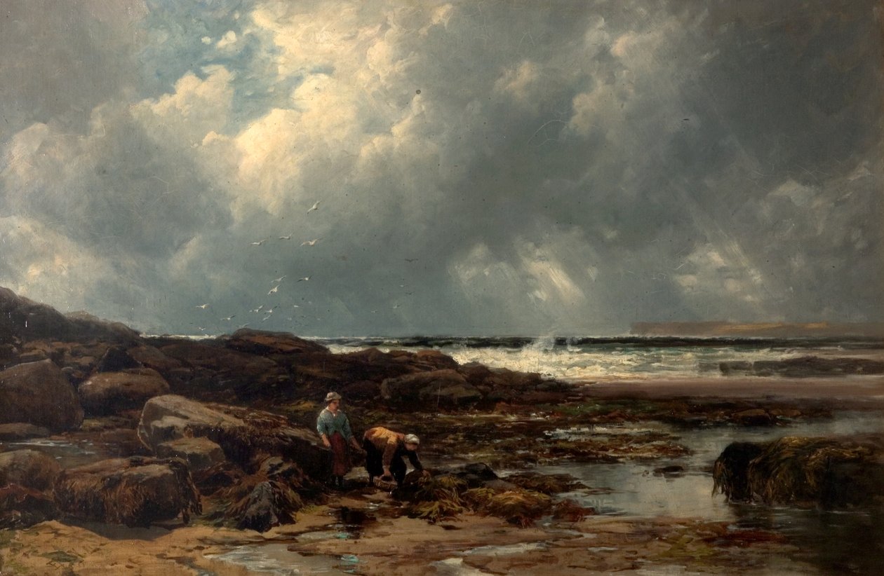 Os coletores de algas de Edmund Morison Wimperis