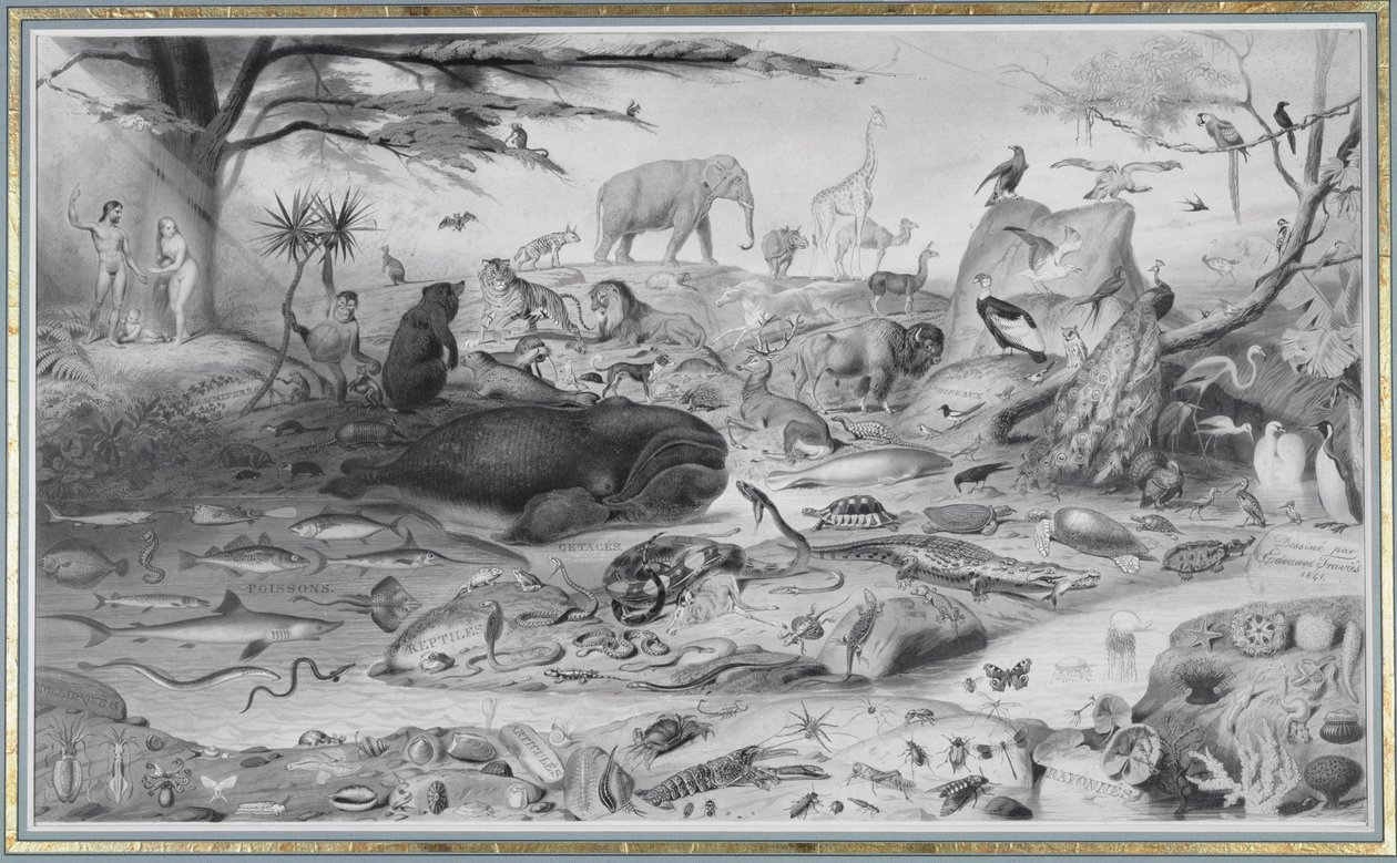 Adão e Eva e os animais, 1841 de Edouard Travies