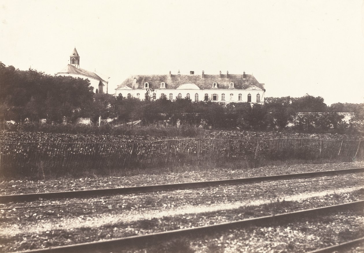Floresta. de Édouard Baldus