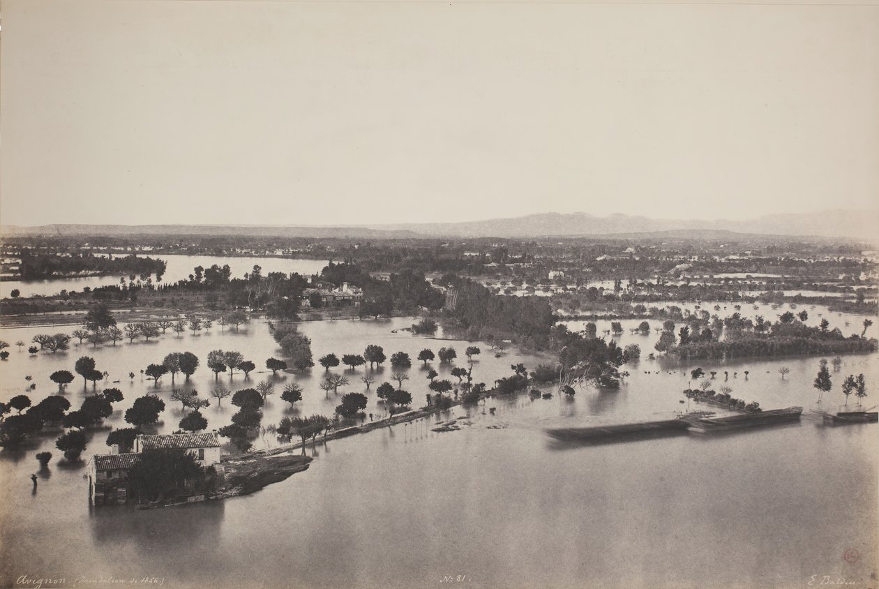 Floresta. de Édouard Baldus
