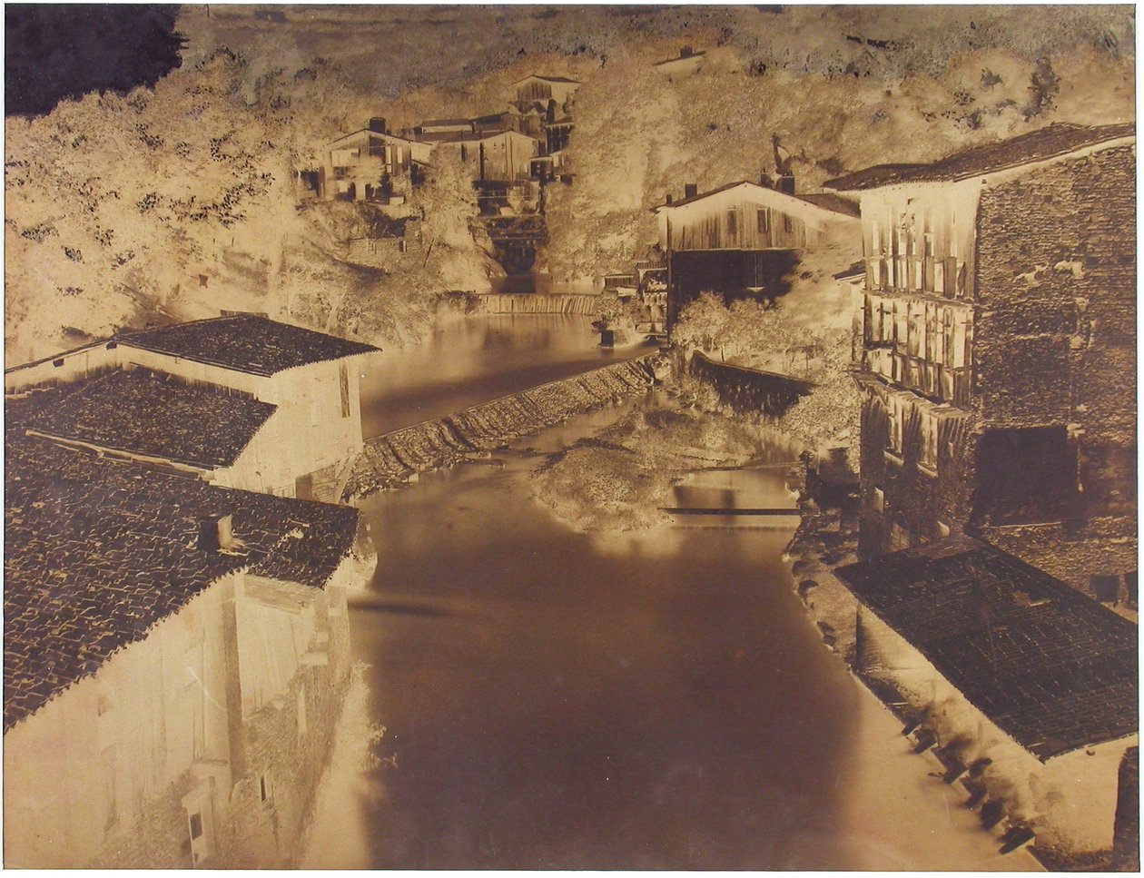 Floresta. de Édouard Baldus