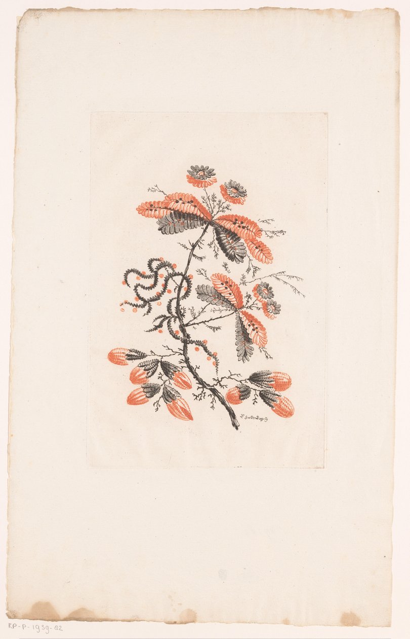 Flores e botões Fleurs Idealle (título da série) de Edouard Gautier Dagoty