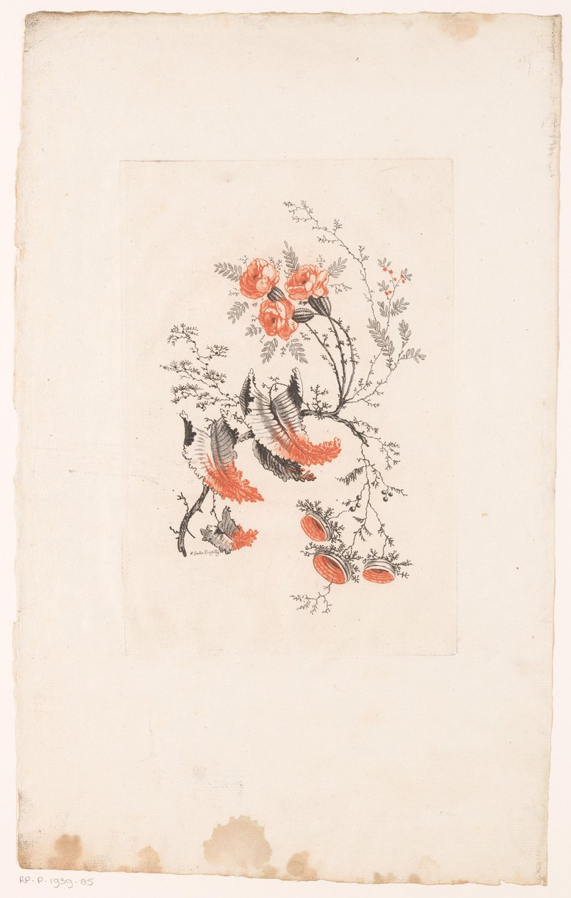 Diversos fantasiebloemen
Fleurs Idéalle (título da série) de Edouard Gautier Dagoty