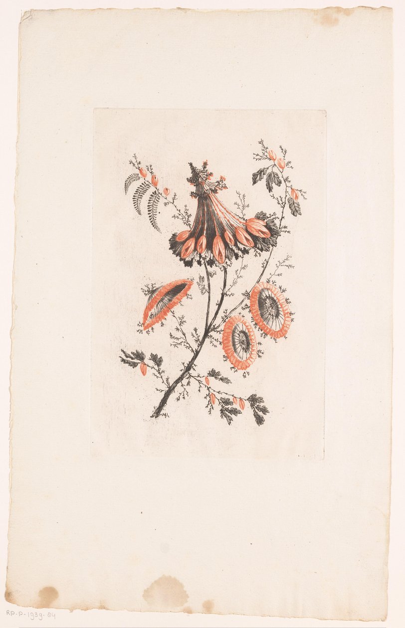 Flores de Parasol
Fleurs Idéalle (título da série) de Edouard Gautier Dagoty