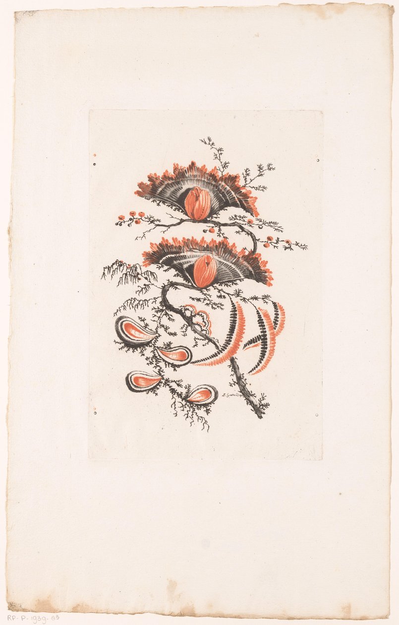 Flores em forma de leque
Fleurs Idéalle (título da série) de Edouard Gautier Dagoty