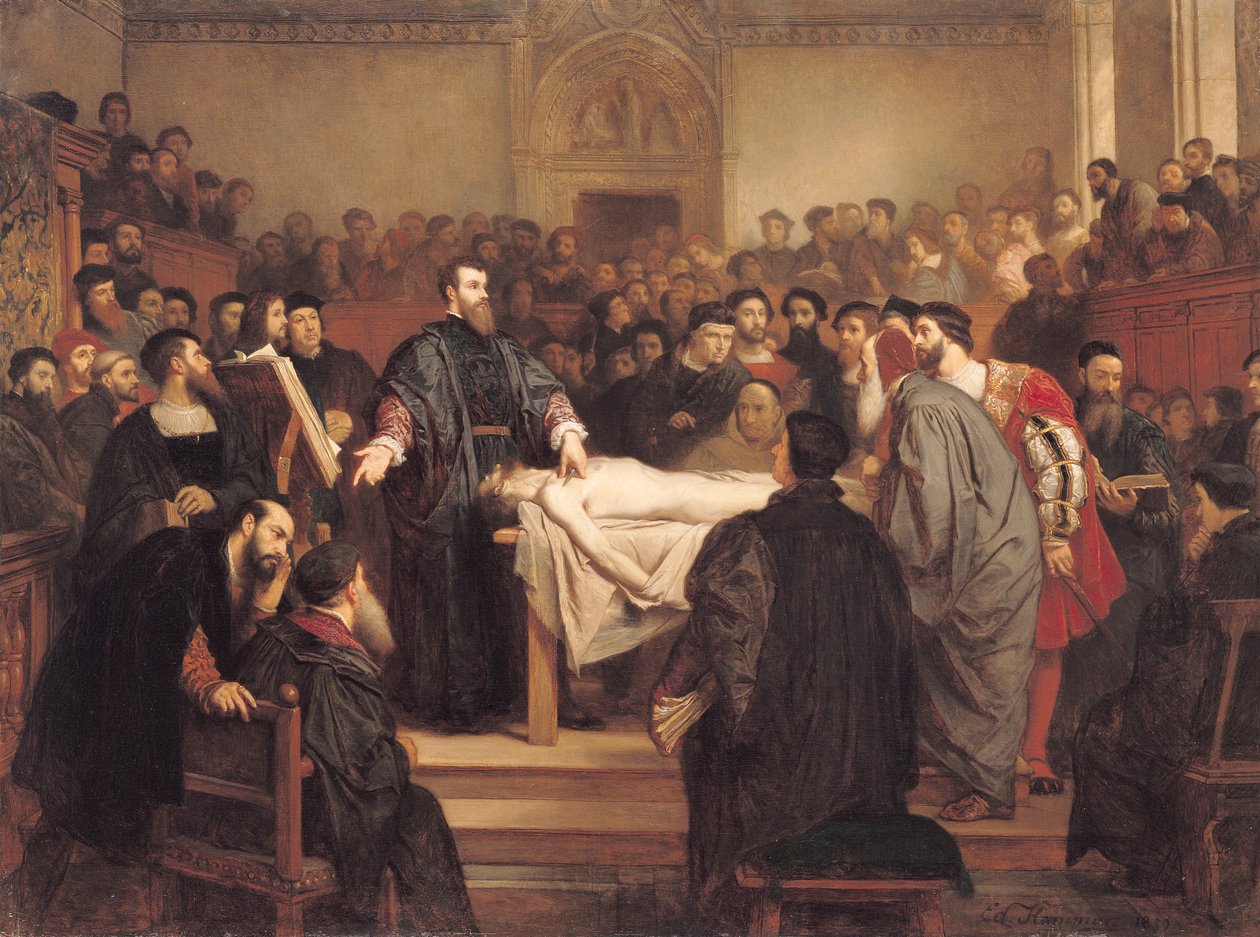 Andreas Vesalius (1514-64) em Pádua, 1859 de Edouard Jean Conrad Hamman