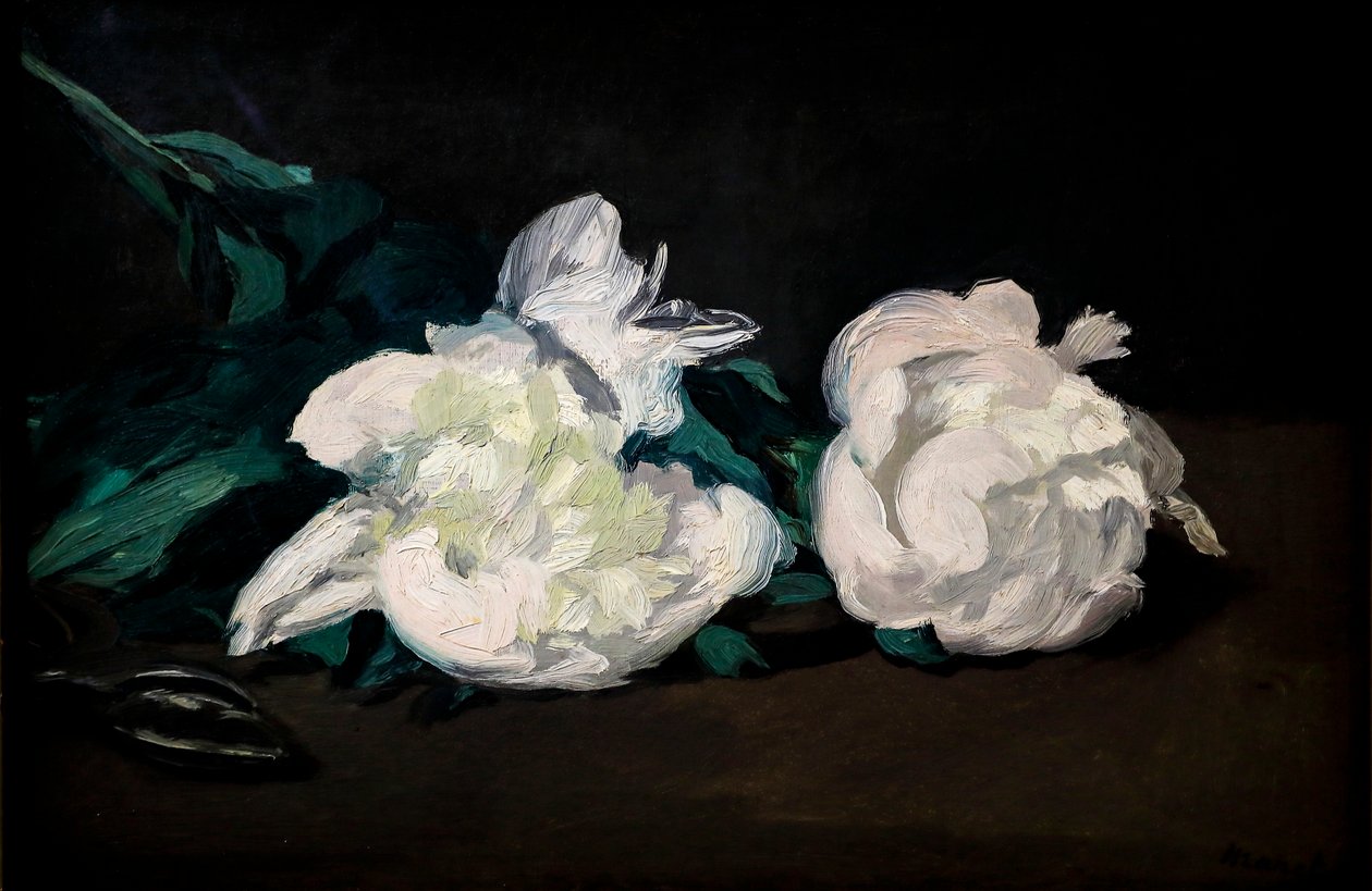 Ramo de peônias brancas e tesouras de podar de Édouard Manet