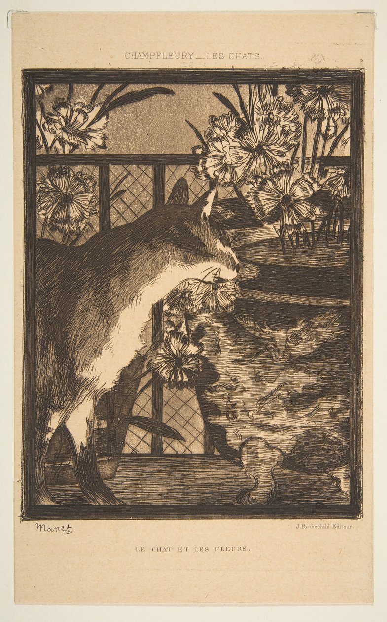 Gato e flores. Ilustração aos gatos por Champfleury, 1869. de Édouard Manet
