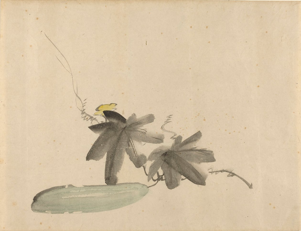 Pepino com folhas de Édouard Manet