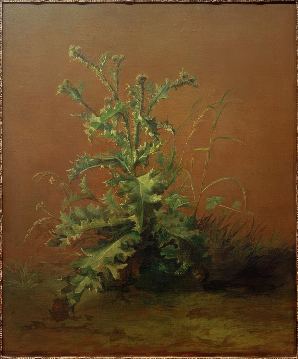 O cardo de Édouard Manet