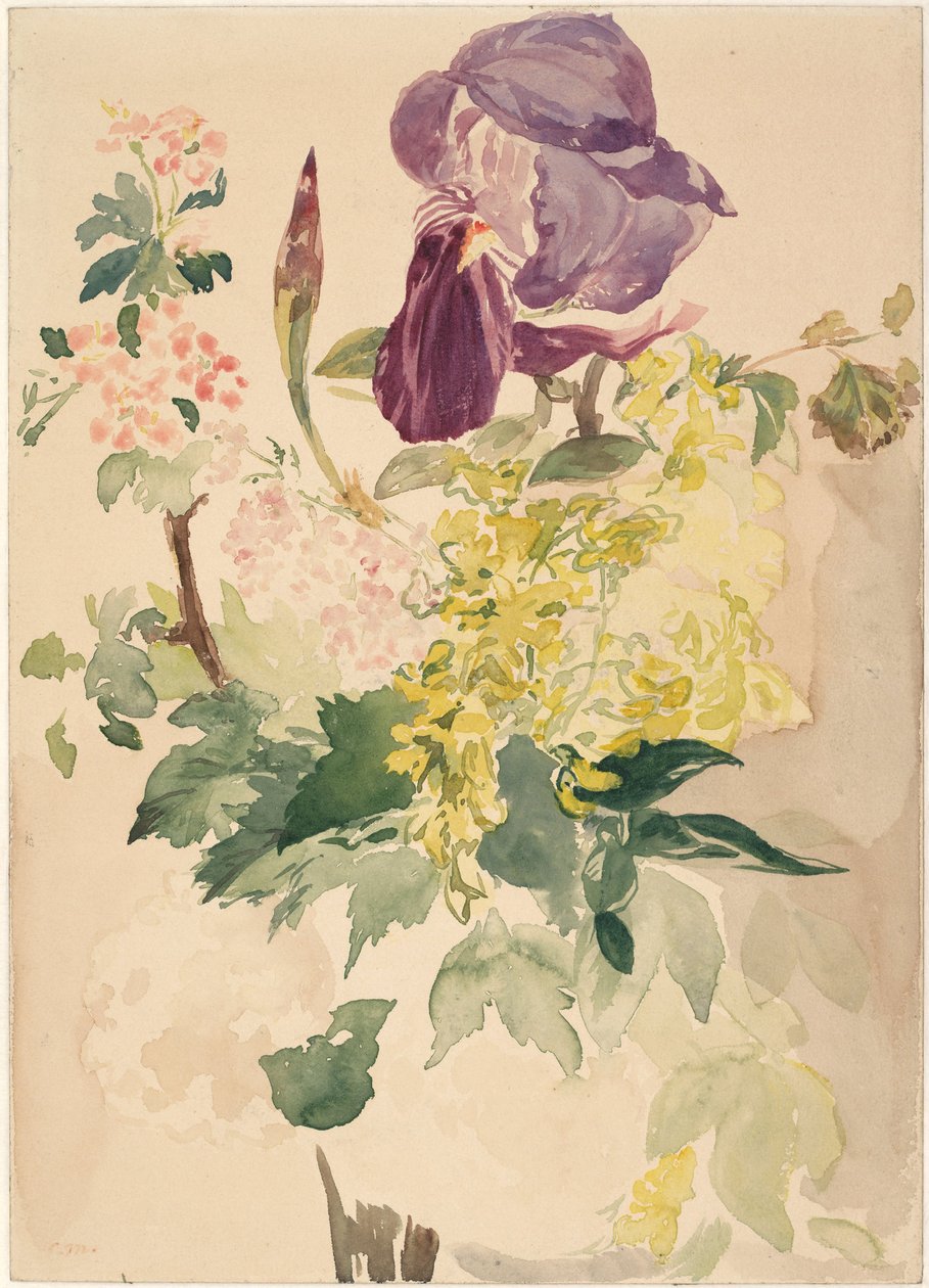 Pedaço de flor com íris, laburno e gerânio, 1880 de Édouard Manet