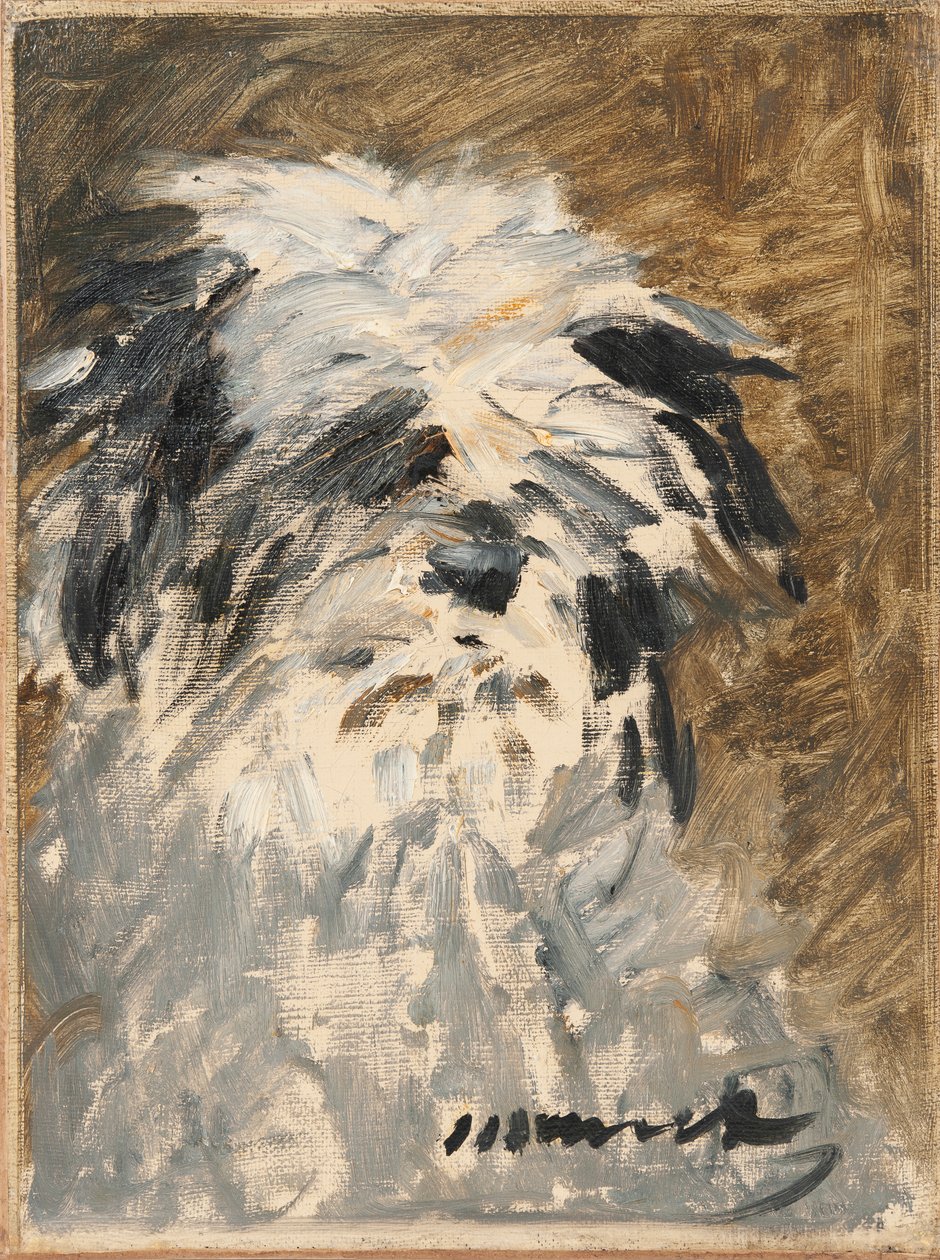 Francês:  Minnay Minnay de Édouard Manet