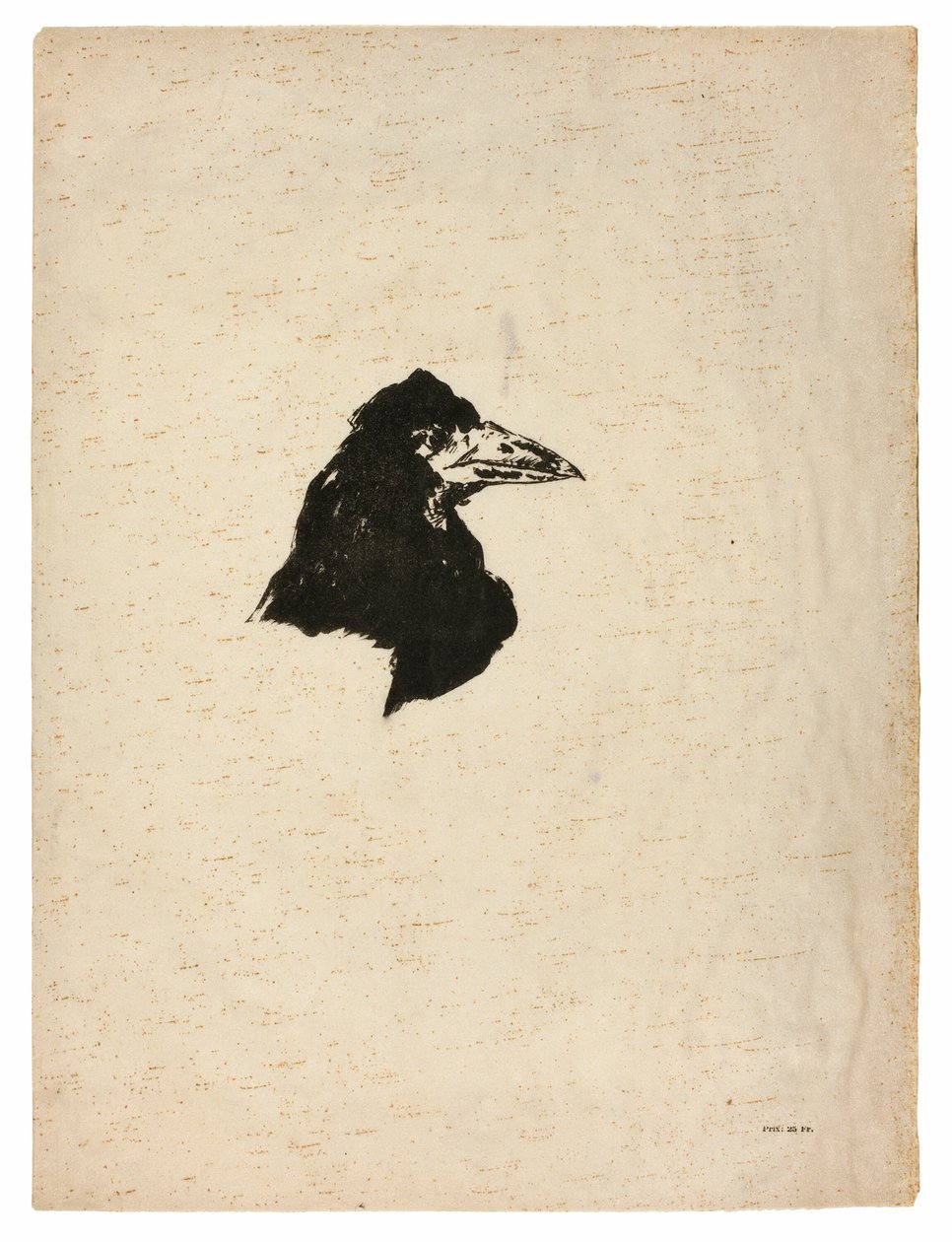 Cabeça de um corvo em perfil, de The Raven (Le Corbeau) de Édouard Manet