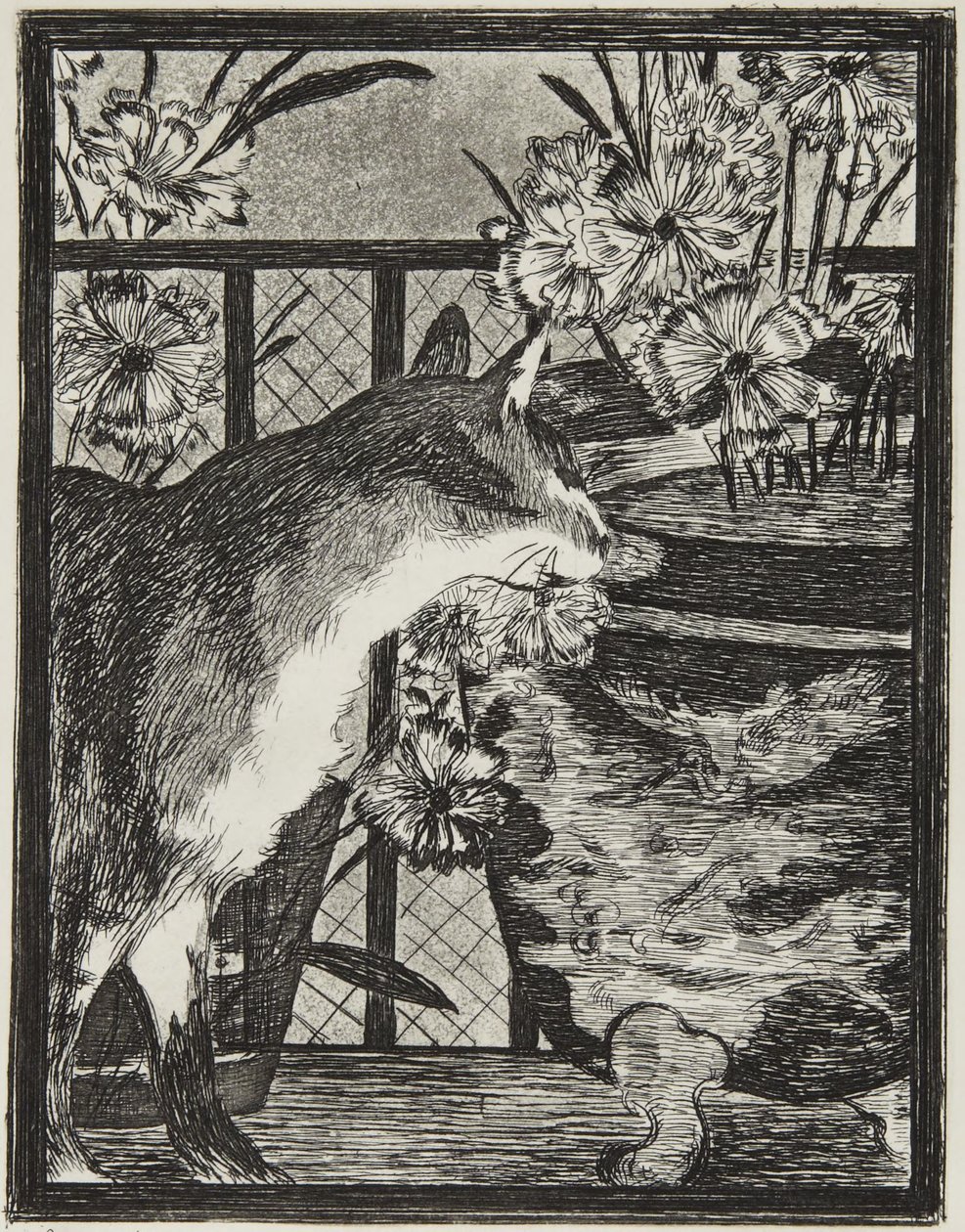 O gato e as flores de Édouard Manet