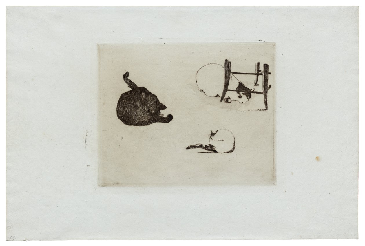 Os gatos de Édouard Manet