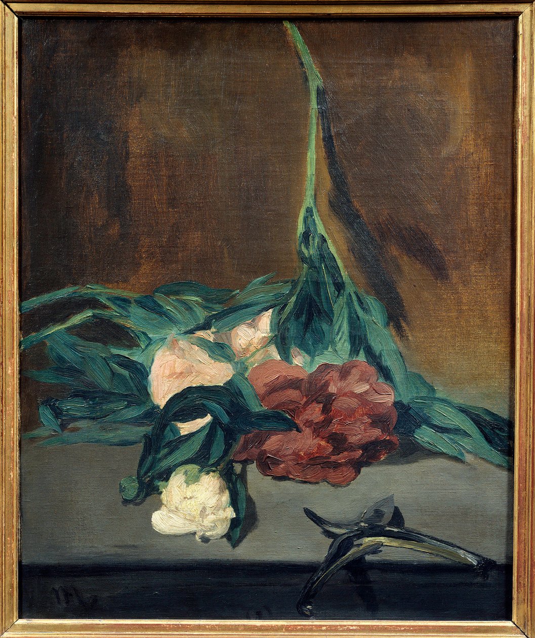 Vara de Peonies e secateur 