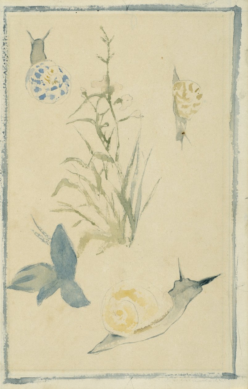 Esboços de caracóis, plantas com flores, c.1880 de Édouard Manet