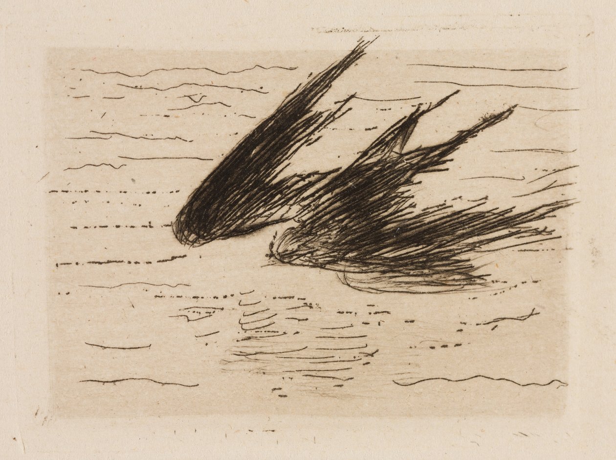 Andorinhas, prato 8 de Le Fleuve de Édouard Manet