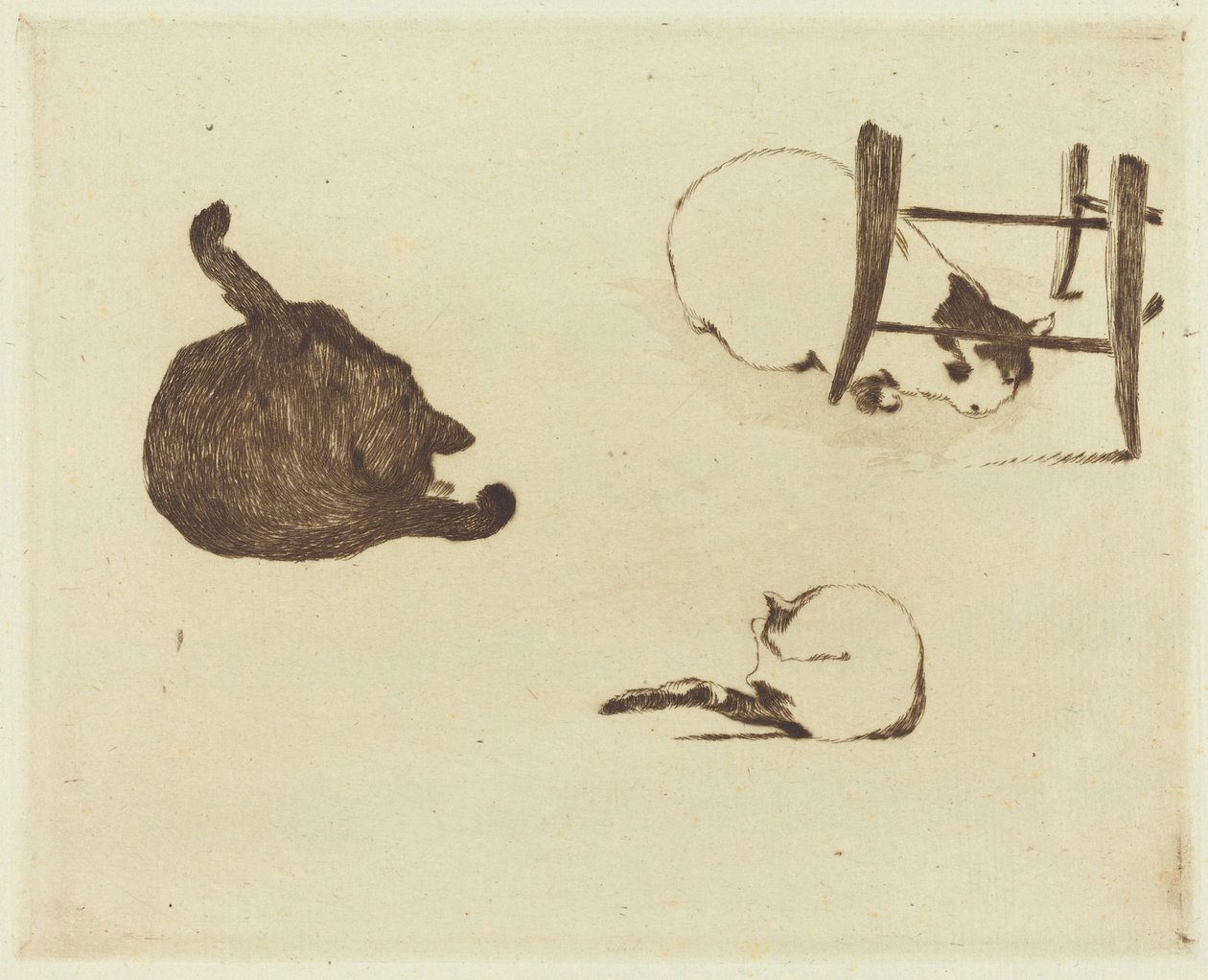 Os gatos (Les chats) de Édouard Manet