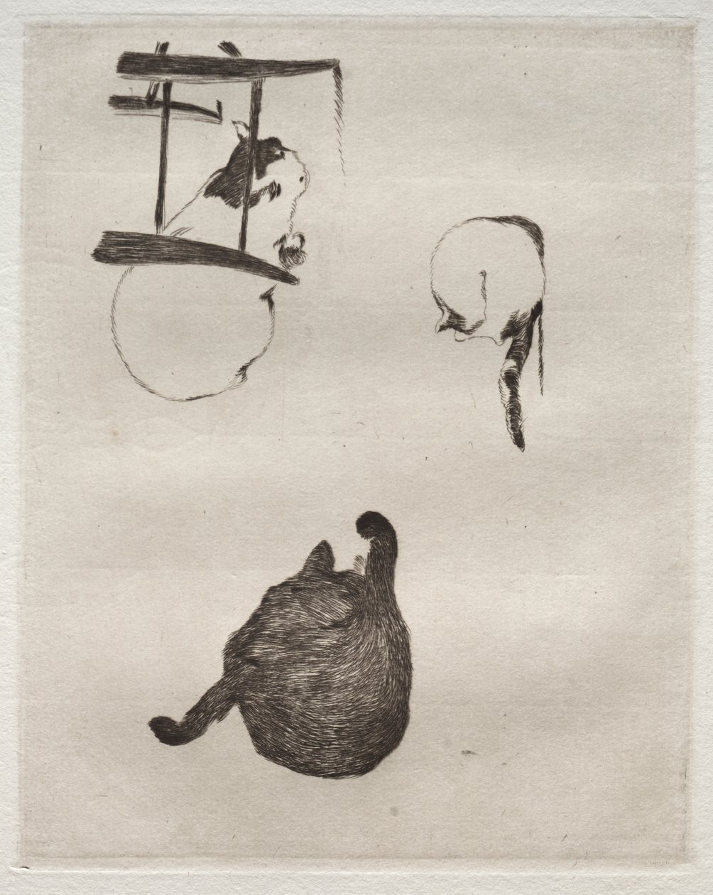 Os gatos de Édouard Manet