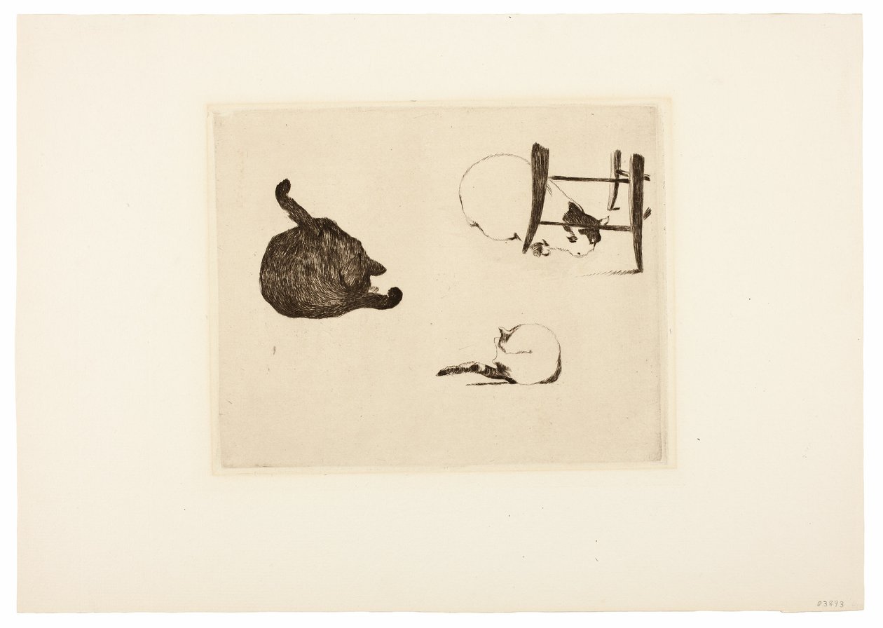 Os gatos de Édouard Manet