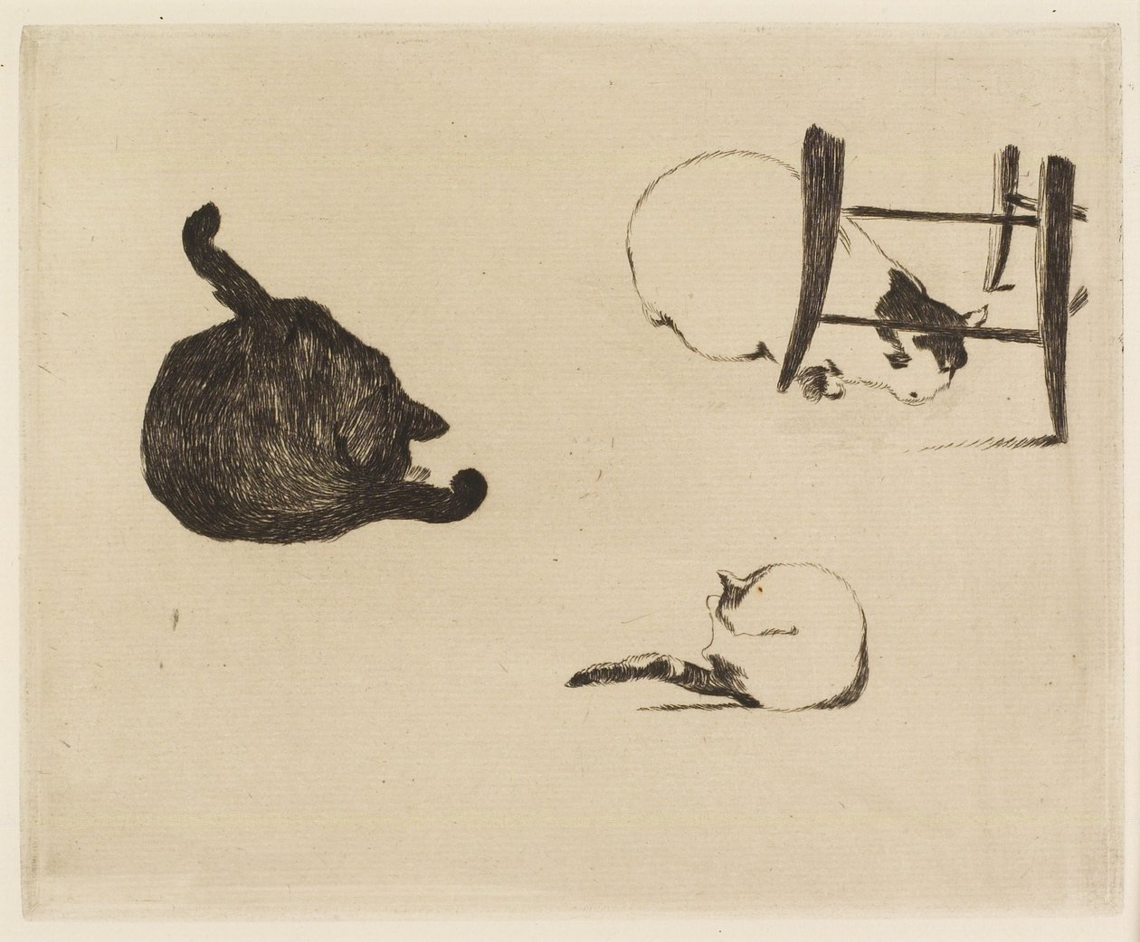 Os gatos, 1869 de Édouard Manet