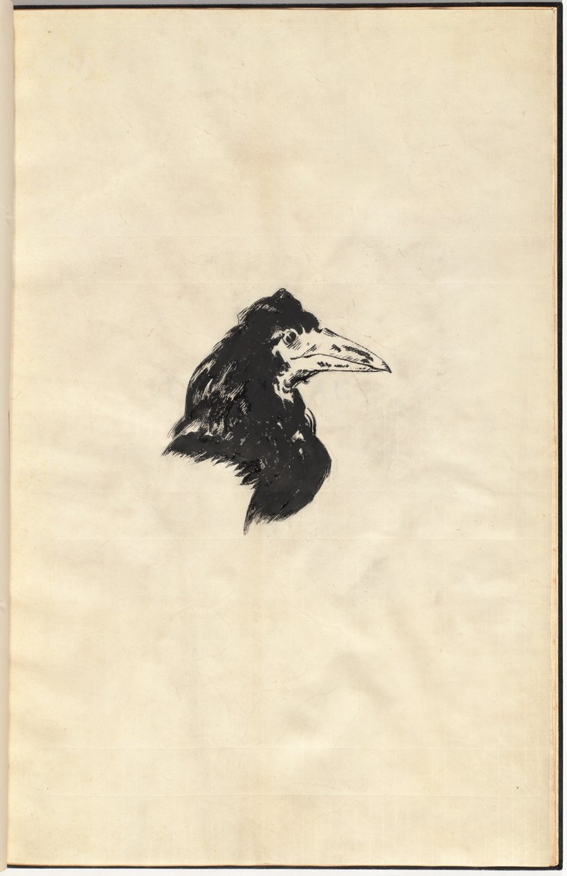 Le Corbeau: O Corvo de Edouard Manet, Edgar Allan Poe