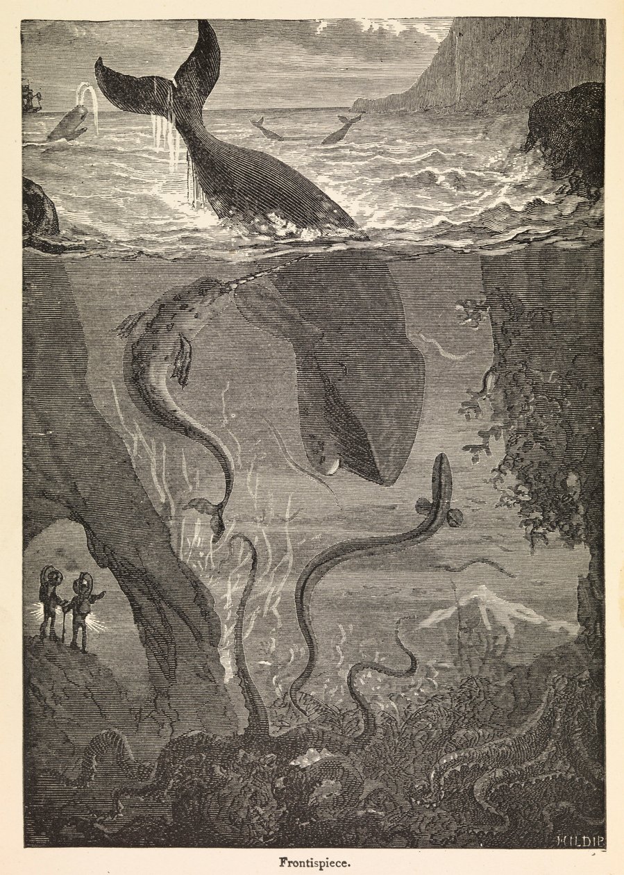 Frontispício de "Vinte mil léguas submarinas" de Júlio Verne, c.1870 (gravura) de Edouard & Neuville Alphonse Marie Adolphe de (1835 85) Riou