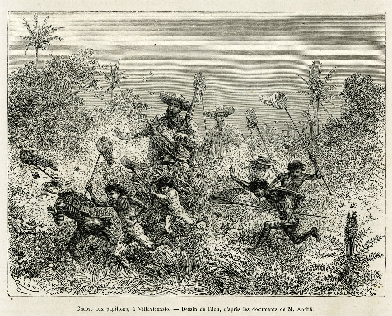 Um bando de crianças caçadas por borboletas, acompanhadas pelo autor, um Villavicensio (Colômbia), desenho de Riou, para ilustrar a história da América Equinoxial (Colômbia, Equador, Peru), em 1875-1876, por Ed. andre, viajante encarregado da missão pela F de Edouard Riou