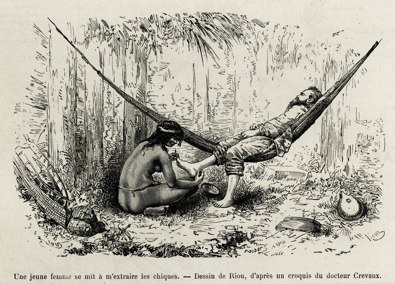 Uma jovem Roucouyan extrai os inimigos que transportaram os pés do explorador durante a noite. Gravura de Riou, para ilustrar a história de Cayenne aux Andes, de Jules Crevaux, médico da marinha francesa, em 1878-1879, publicada na revista Tour du monde, u de Edouard Riou