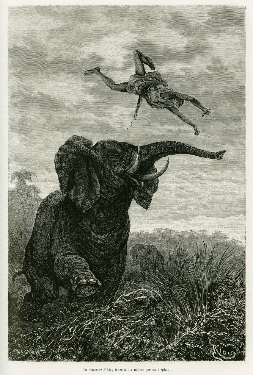 O caçador da Aley atira a uma milha de um elefante. Gravado por Riou para ilustrar a história Les lacs de l